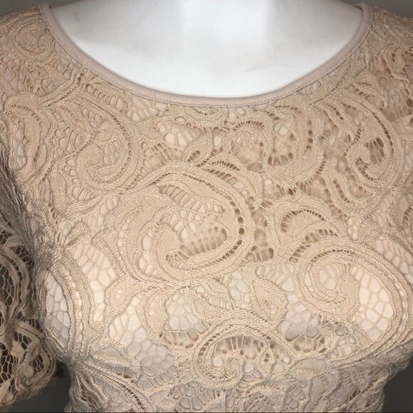 ANTHROPOLOGIE Adrianna Papell Size  L Lace top - Picture 3 of 9